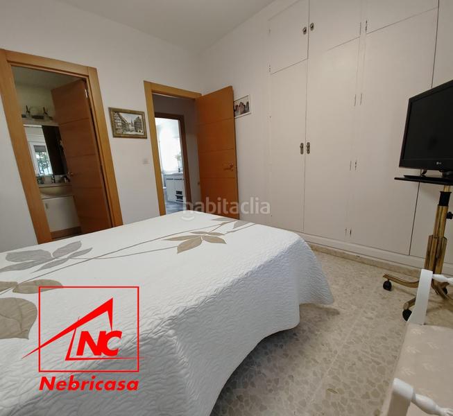 Foto 56271003-8d2f-480c-9452-610ae0cd64cc. Chalet with pool in La Jara Sanlúcar de Barrameda