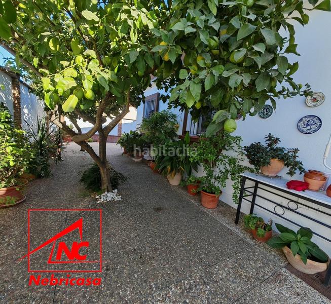 Foto 6b302341-95d1-42b4-89d7-88726583f2de. Chalet with pool in La Jara Sanlúcar de Barrameda