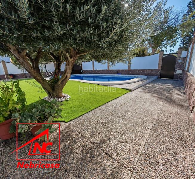 Foto 7bc0a18a-bc7d-4d3b-bb5d-10bca9c46fbe. Chalet with pool in La Jara Sanlúcar de Barrameda