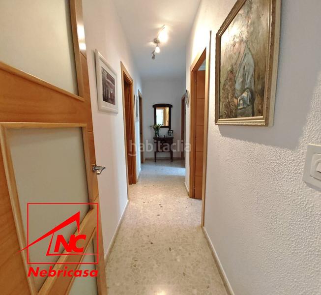 Foto 97110cf1-a9f9-448a-9734-2c7d9f922d08. Chalet with pool in La Jara Sanlúcar de Barrameda