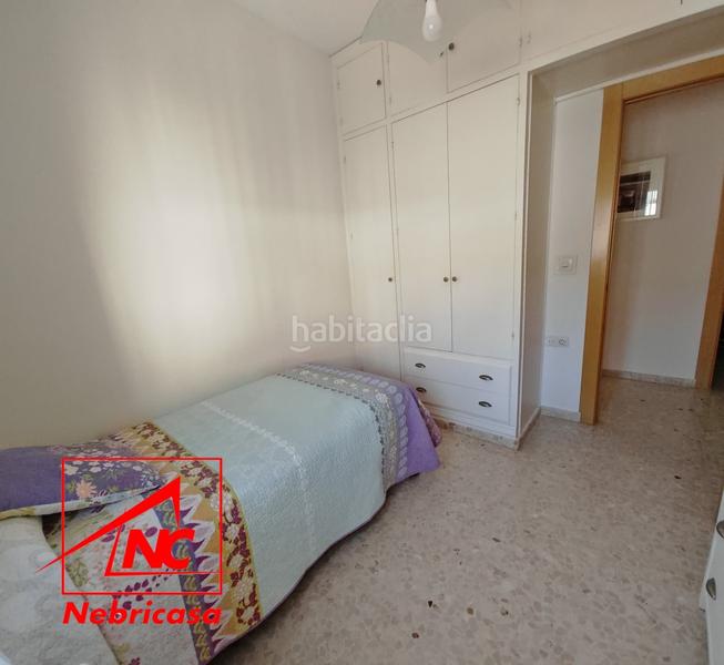 Foto acfd97f1-4cbd-4b7b-a93d-1c325f7db730. Chalet with pool in La Jara Sanlúcar de Barrameda