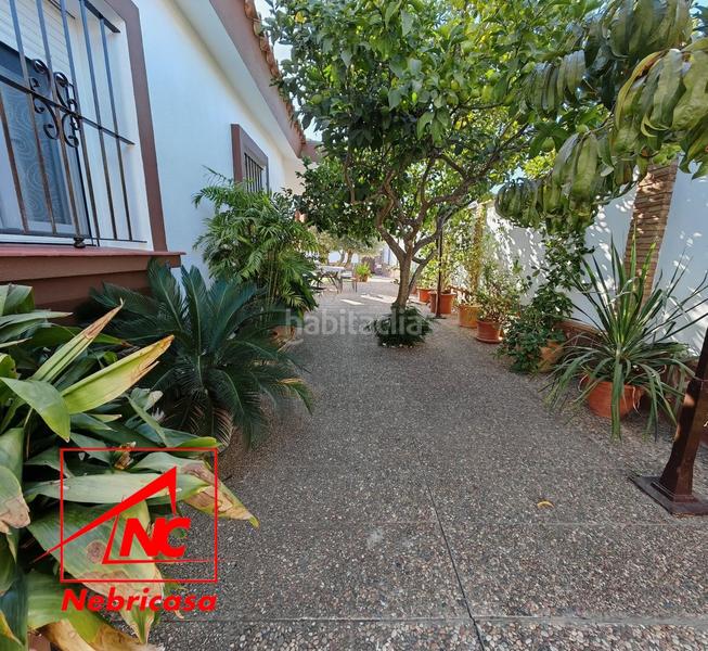 Foto f2b089a8-bb9d-450f-afed-9b9154702c6c. Chalet with pool in La Jara Sanlúcar de Barrameda