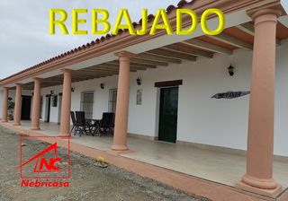 Terreno residencial en Cuervo de Sevilla (El). Magnífica propiedad rústica de regadío de 9.876 m de superficie