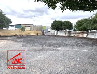 Mas à Lebrija. Zona las arenasespectacular finca con vivienda, piscina y espaci