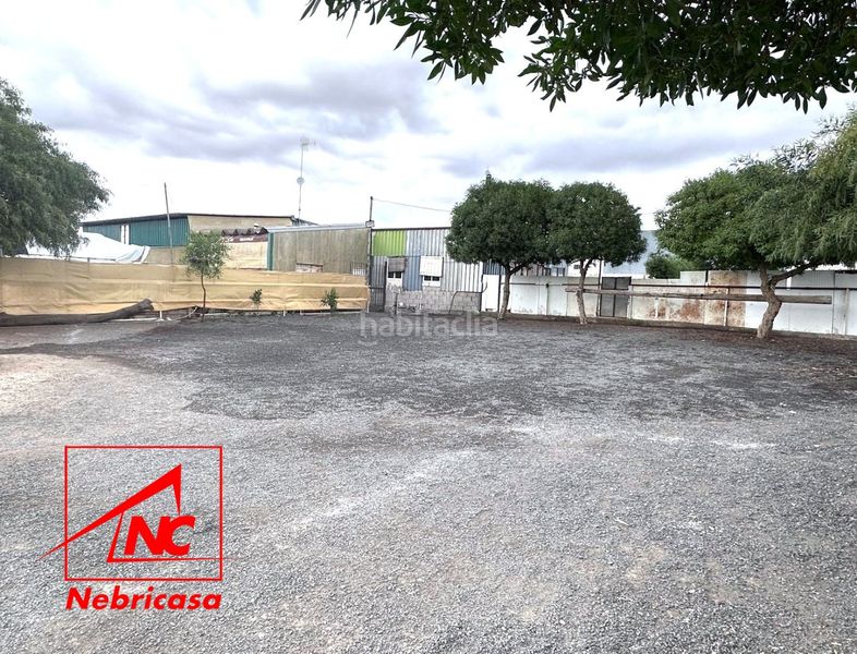 Foto f18a4ad0-1c55-4533-9dbe-ce808eb5cc28. Masia amb aparcament piscina a Lebrija