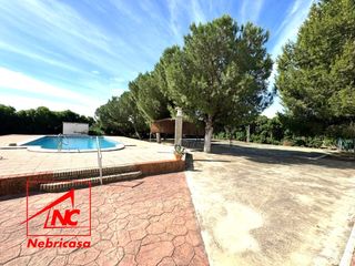 Wohngrundstück in Lebrija. Finca rustica en la zona de los tollos.descubre esta magnífica f