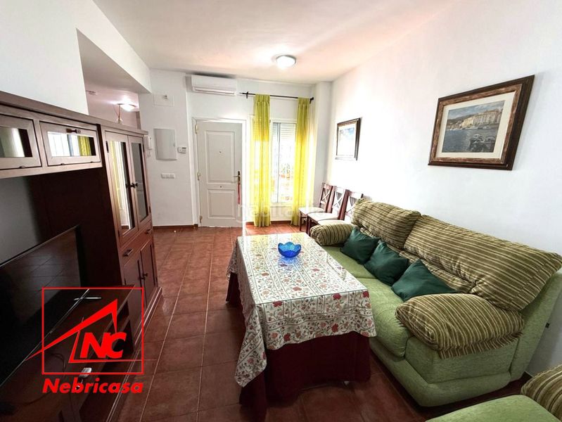 Foto 3b9f8981-07e1-4aa2-9ee4-aafd65ef0d8d. Pis a Lebrija