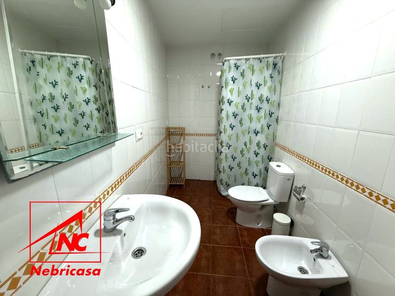 Foto ee8a1a4b-0f4d-4b05-a6dd-ca5bc248a033. Pis a Lebrija
