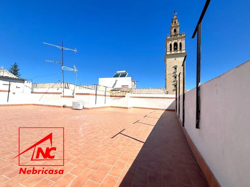 Foto b025f7b5-7125-4c60-a953-267e77768d34. Pis a Lebrija