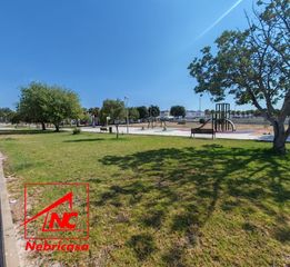 Terreny residencial a Cuervo de Sevilla (El)