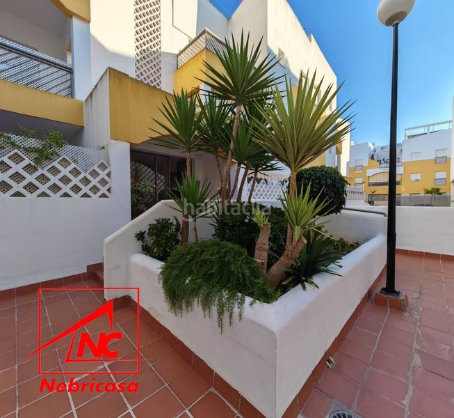 Foto 5be4fc39-aaa6-4c0b-9779-063311471407. Pis amb aparcament a Costa Ballena - Largo norte Rota