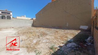 Terreno residencial en Cuervo de Sevilla (El). Excelente oportunidad para construir la vivienda que siempre has
