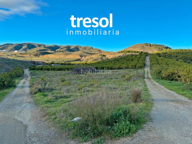 Foto 0bc02a9c-abfb-498b-a942-2dd1ec4205dd. Fondo rustico in Centro Alhaurín de la Torre