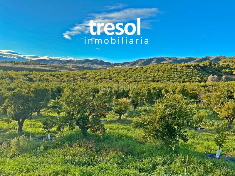 Foto 150e74d9-d175-4f5f-aa95-a50ca8361dc3. Fondo rustico in Centro Alhaurín de la Torre