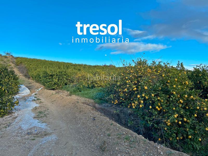 Foto 2f804f9d-3d0b-4387-bda9-9df39e06a76e. Fondo rustico in Centro Alhaurín de la Torre