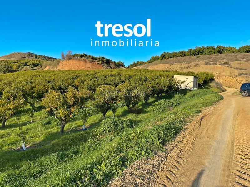 Foto 6ffe558d-a995-477d-a12f-7898571da476. Fondo rustico in Centro Alhaurín de la Torre