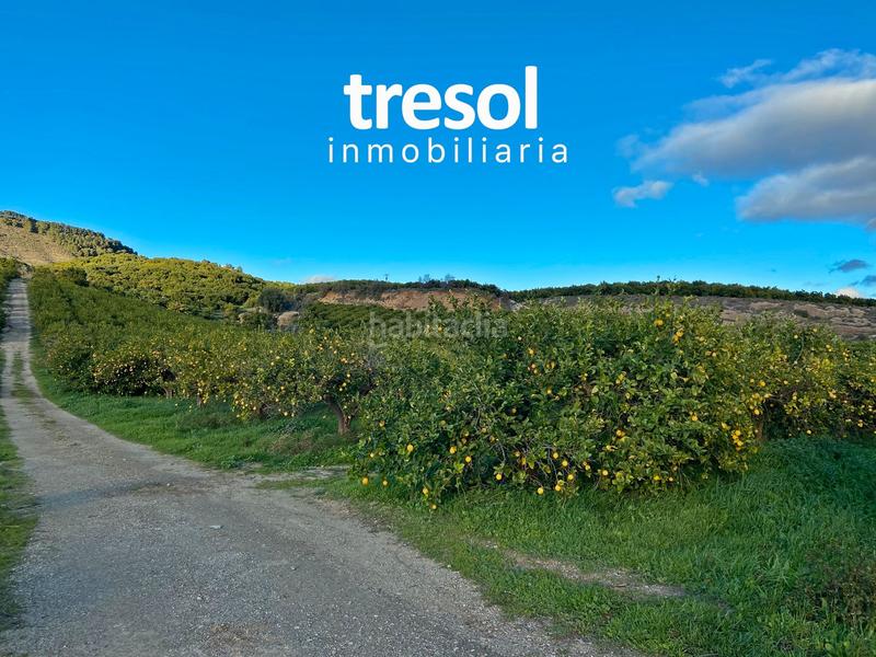 Foto d14a1a45-4829-4f01-bd42-e216d1573f0b. Fondo rustico in Centro Alhaurín de la Torre