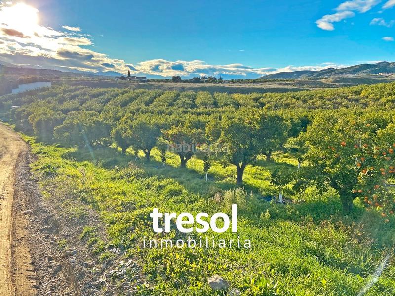 Foto d435b665-7385-4fa6-96e4-02a1ce8030d3. Fondo rustico in Centro Alhaurín de la Torre