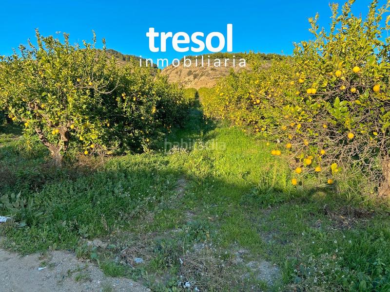 Foto e8eca46a-ca65-4999-972c-907b245e5cbe. Fondo rustico in Centro Alhaurín de la Torre