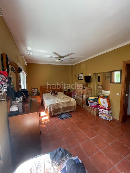 Foto ef6efa69-e721-4d7d-8d0c-ed97ba5ff487. Pis a Paseo Marítimo Oeste - Pacífico Málaga