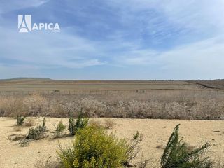 Landgut in Vejer. A 2 km de el palmar! gran parcela en vejer de la frontera