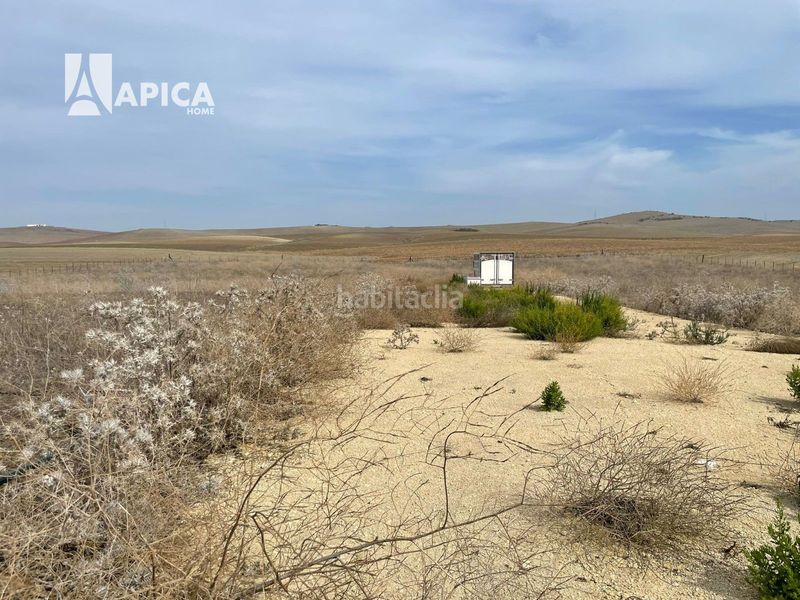 Foto 97470f9a-0b9c-4099-87e2-a05184d26165. Finca rústica a Vejer Vejer de la Frontera