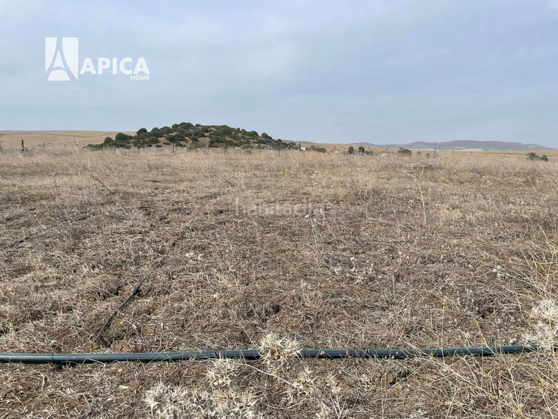 Foto b6982bc8-f550-491c-9b58-a31856174128. Finca rústica a Vejer Vejer de la Frontera