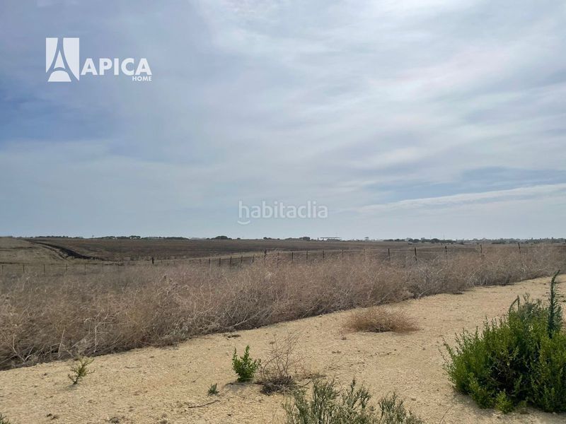 Foto bb03d5a5-1450-4cf2-a704-fa815077bb1b. Finca rústica a Vejer Vejer de la Frontera