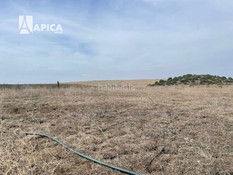 Foto cdcab28e-175c-4e9f-9f64-f69b671e194f. Finca rústica a Vejer Vejer de la Frontera