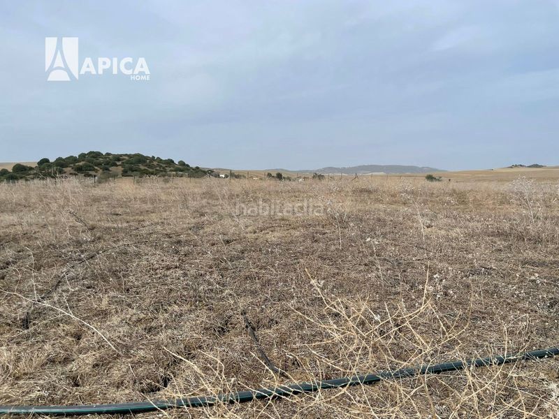 Foto ceed5f70-81b5-4f71-b7fd-404b925df46b. Finca rústica a Vejer Vejer de la Frontera
