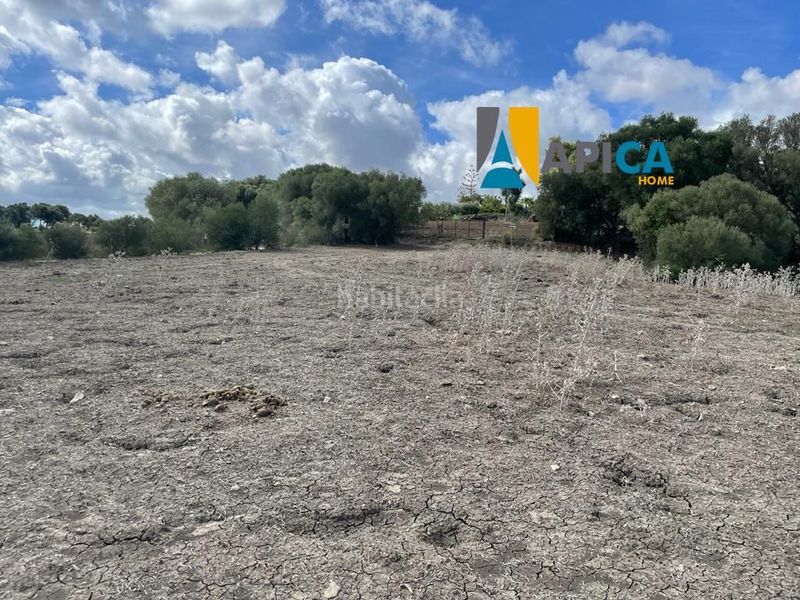 Foto 10ca88f0-6619-4f60-9329-d776b27c785f. Finca rústica a Vejer Vejer de la Frontera