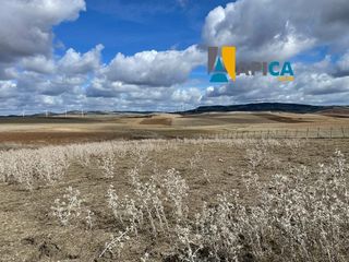 Landgut in Vejer. Gran finca de 21.465 m en nájara vejer