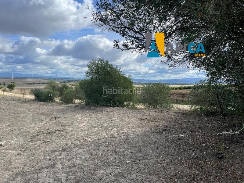 Foto 8151f6b9-2c30-441e-b890-43d7ee2d66cb. Finca rústica a Vejer Vejer de la Frontera