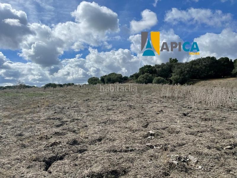 Foto b57a6f87-f92f-47b3-bb9f-a3127367643d. Finca rústica a Vejer Vejer de la Frontera