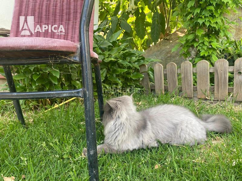 Foto 479223c1-920f-4088-ac47-acdc5b7c037a. Chalet dans El Cuartón - El Bujeo Tarifa