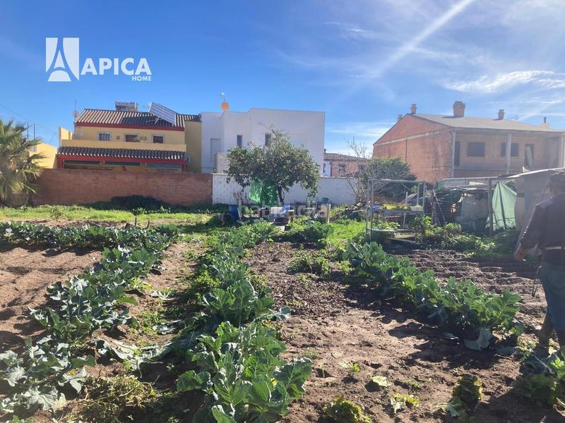 Foto 94fdcb9a-7563-439c-9314-5e69b50cba8c. Finca rústica a Barrios (Los)