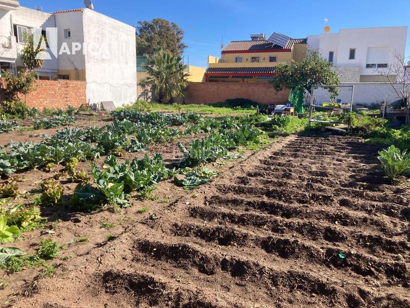 Foto b0281813-e9a6-412f-a9b6-40ca9251b1a9. Finca rústica a Barrios (Los)