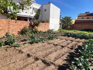 Finca rústica a Barrios (Los). Solar en venta en los barrios, zona palmones.