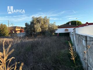 Finca rústica a Las Lagunas - Campano. Parcela rustica en venta en chiclana de la frontera
