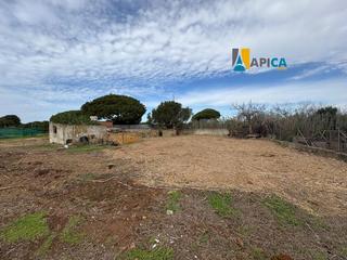 Finca rústica a Roche. Parcela rústica, torre del puerco. conil de la frontera.