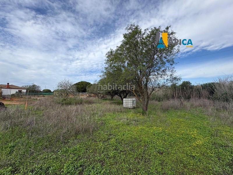 Foto 2395f883-dbf8-4787-a002-c922b3b02664. Finca rústica a Roche Conil de la Frontera