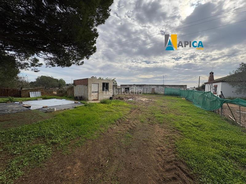 Foto 4f3c7787-13e5-4320-b8cf-79201f5766c2. Finca rústica a Roche Conil de la Frontera