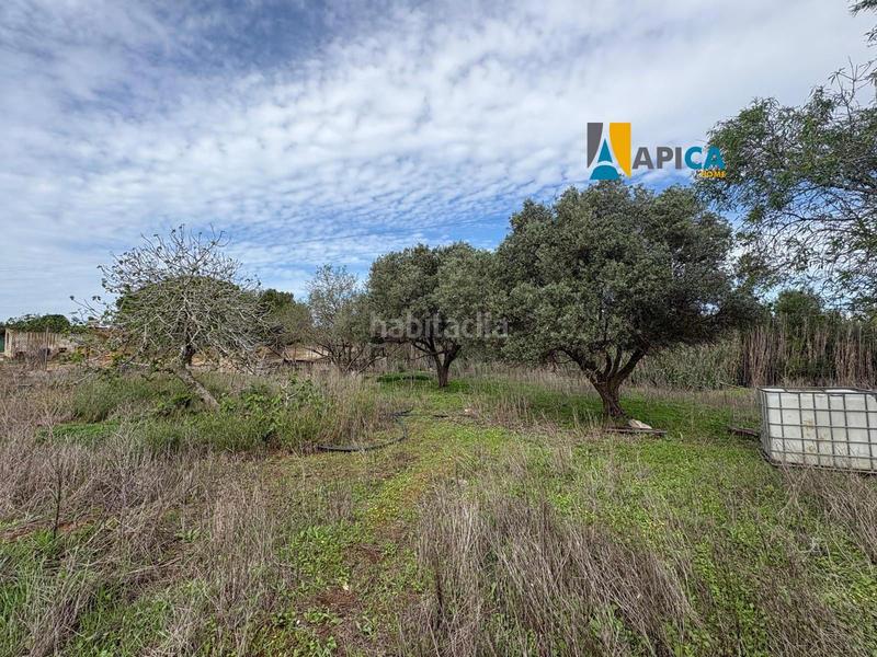 Foto 61899958-6cea-4250-9456-fbe48589ece6. Finca rústica a Roche Conil de la Frontera