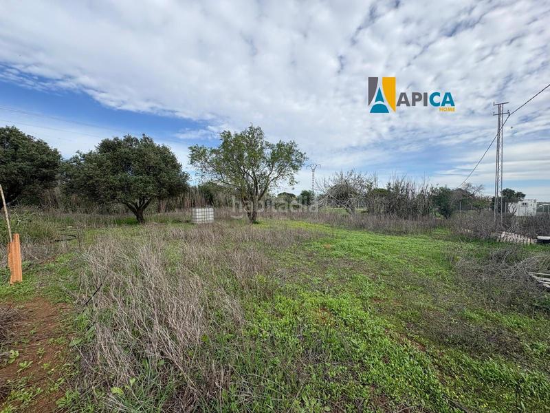 Foto 673e7368-c494-48db-a7da-643d20405ec0. Finca rústica a Roche Conil de la Frontera