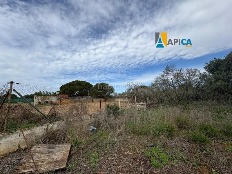 Foto 8f315a1a-e1c9-4524-8bc7-341fe8fa0187. Finca rústica a Roche Conil de la Frontera