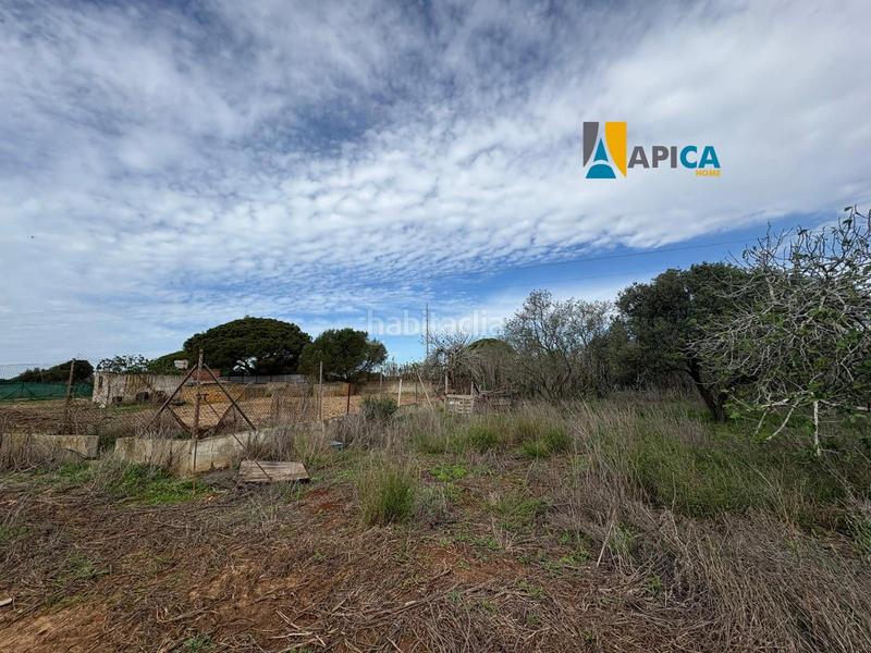 Foto a09eb27b-afa4-4f5c-a8dc-c92ca6747af8. Finca rústica a Roche Conil de la Frontera