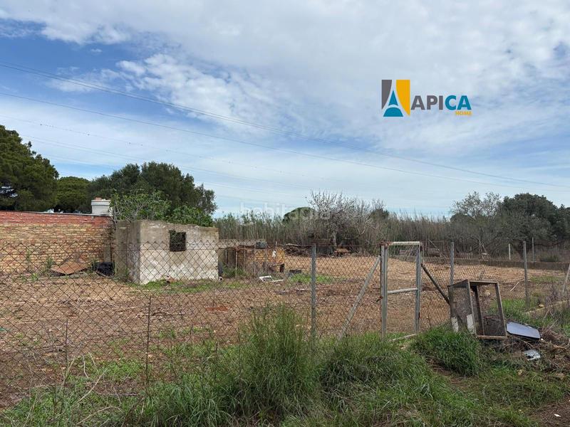 Foto dfa11a16-387b-44da-a16b-e862a00635d8. Finca rústica a Roche Conil de la Frontera