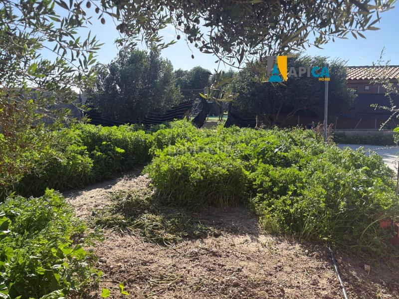 Foto 281db77f-c6b4-4819-8e9c-68ed669ee07e. Chalet  que se asienta sobre suelo rústico, fuente amarga. . en Chiclana de la Frontera