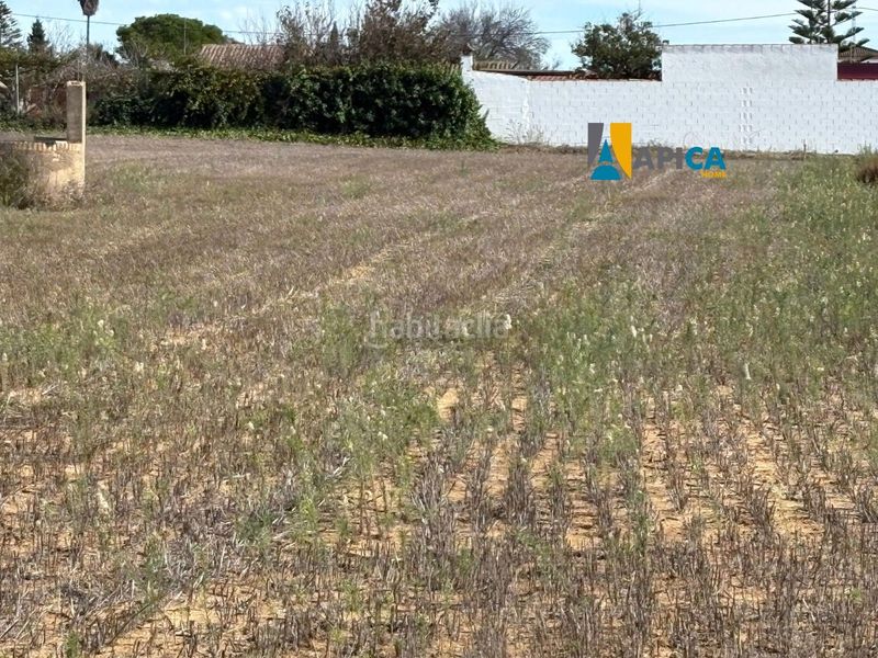Foto 10b14428-3e09-46b7-a37d-dc263c695495. Finca rústica parcela segregada en zona el marquesado, . en Chiclana de la Frontera