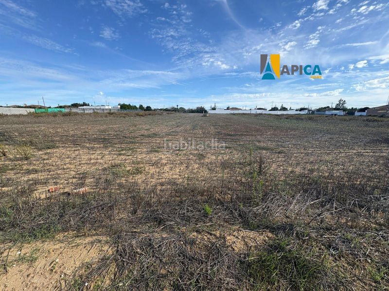 Foto 5656e23b-036e-410a-b6d6-1c5017d170a5. Finca rústica parcela segregada en zona el marquesado, . en Chiclana de la Frontera